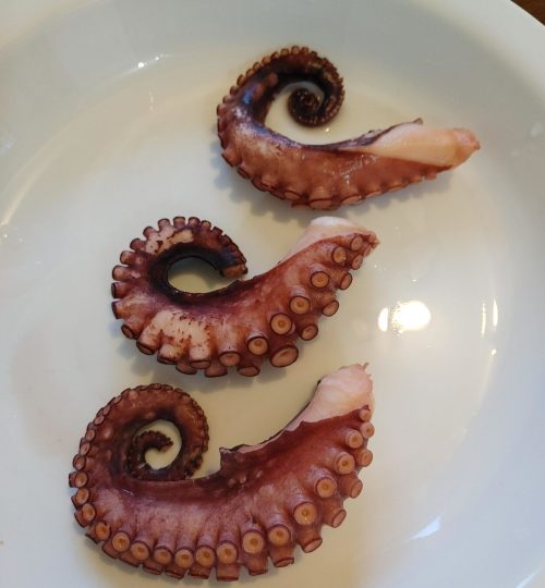 Octopus1resized
